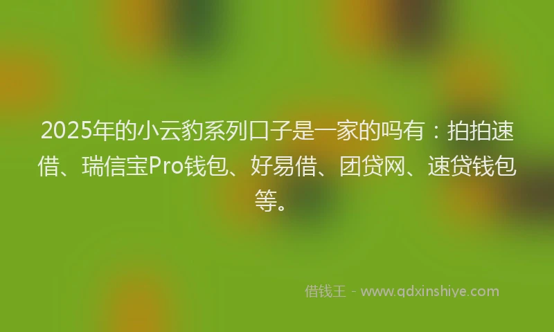 2025年的小云豹系列口子是一家的吗有：拍拍速借、瑞信宝Pro钱包、好易借、团贷网、速贷钱包等。