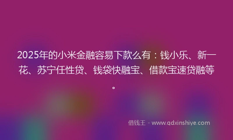 2025年的小米金融容易下款么有：钱小乐、新一花、苏宁任性贷、钱袋快融宝、借款宝速贷融等。