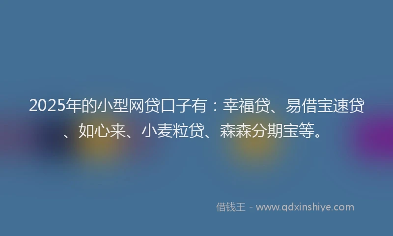 2025年的小型网贷口子有：幸福贷、易借宝速贷、如心来、小麦粒贷、森森分期宝等。