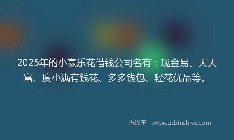 2025年的小赢乐花借钱公司名有：现金易、天天富、度小满有钱花、多多钱包、轻花优品等。