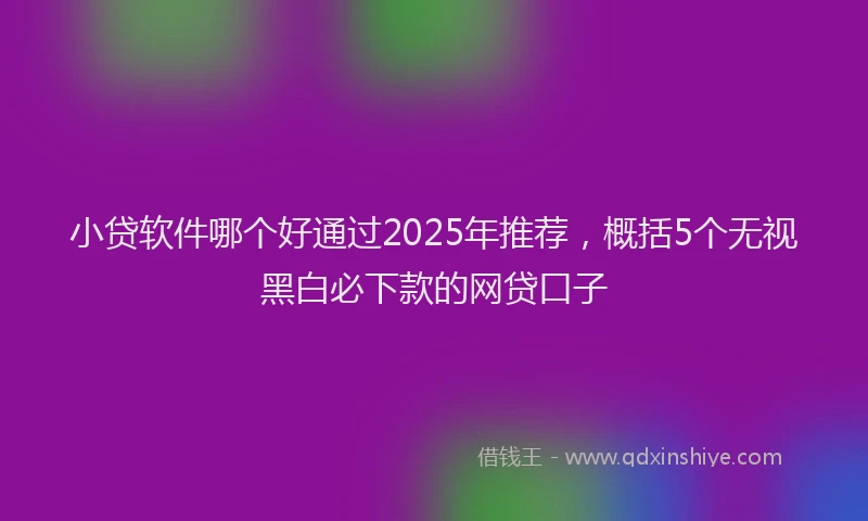 小贷软件哪个好通过2025年推荐，概括5个无视黑白必下款的网贷口子