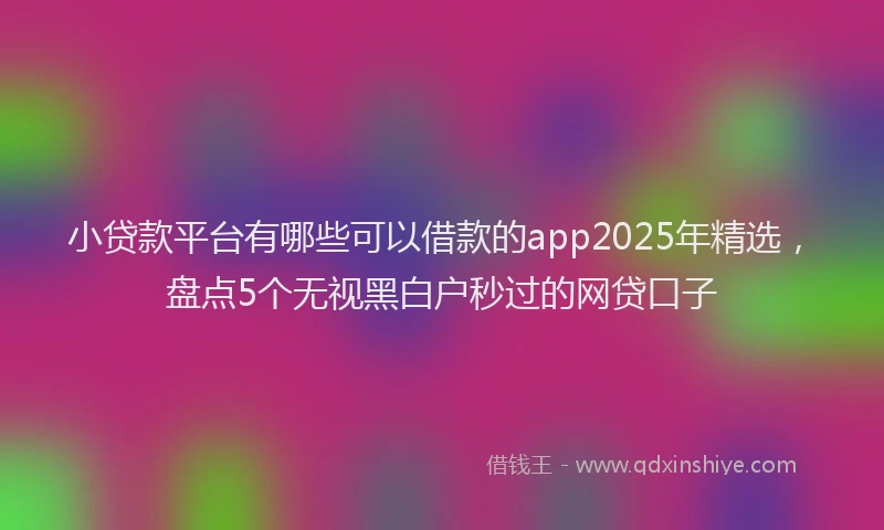小贷款平台有哪些可以借款的app2025年精选，盘点5个无视黑白户秒过的网贷口子