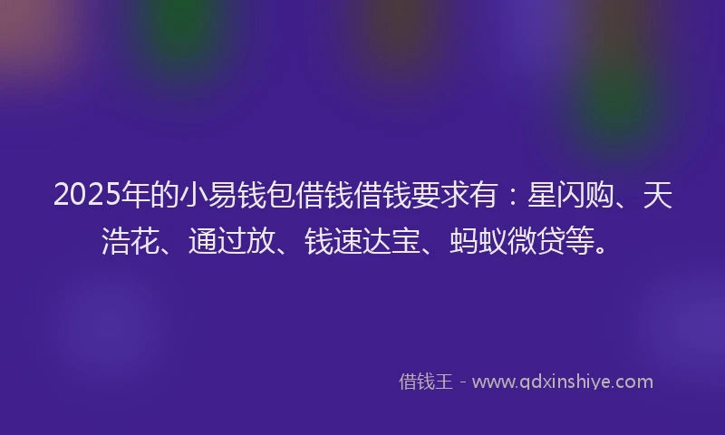 2025年的小易钱包借钱借钱要求有：星闪购、天浩花、通过放、钱速达宝、蚂蚁微贷等。
