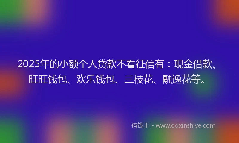 2025年的小额个人贷款不看征信有：现金借款、旺旺钱包、欢乐钱包、三枝花、融逸花等。
