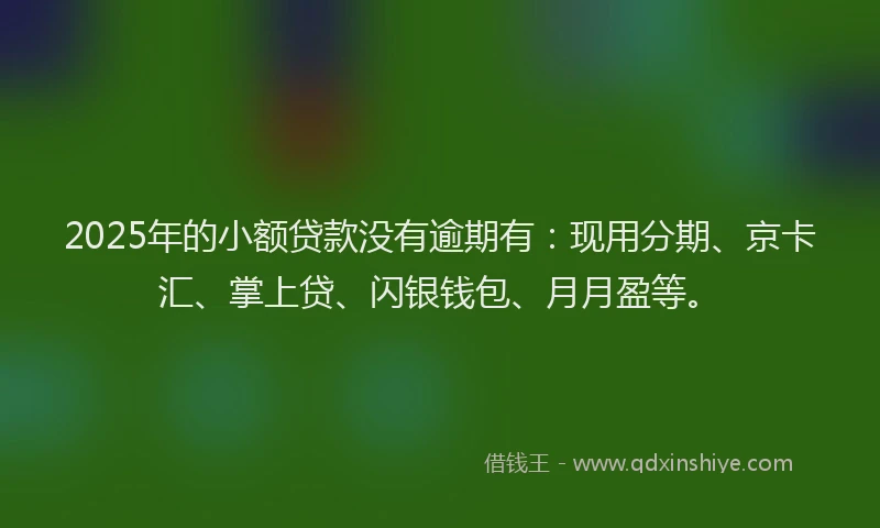 2025年的小额贷款没有逾期有：现用分期、京卡汇、掌上贷、闪银钱包、月月盈等。