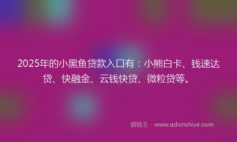 2025年的小黑鱼贷款入口有：小熊白卡、钱速达贷、快融金、云钱快贷、微粒贷等。