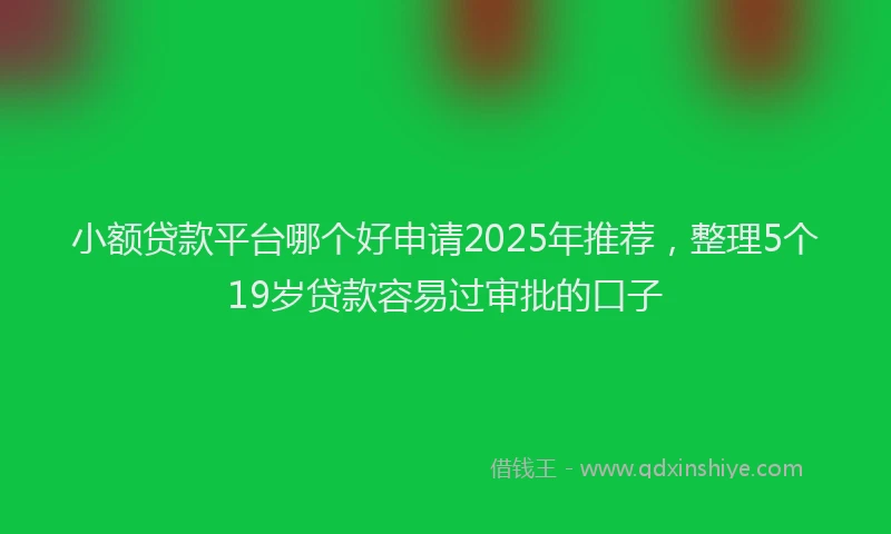 小额贷款平台哪个好申请2025年推荐，整理5个19岁贷款容易过审批的口子