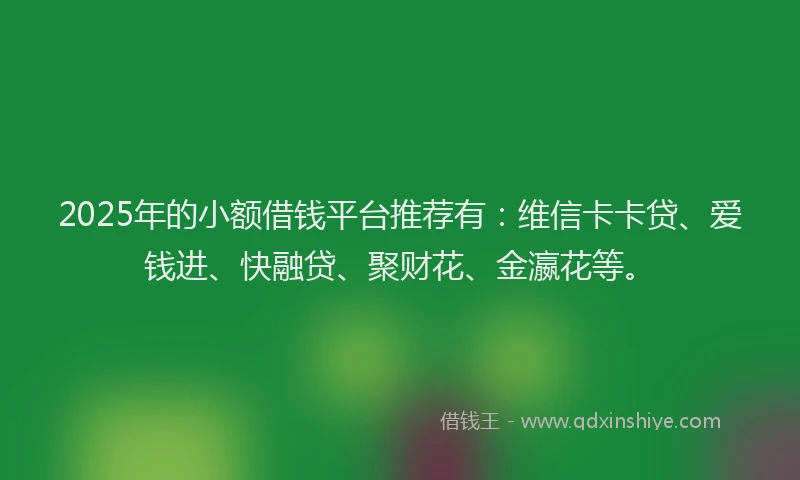 2025年的小额借钱平台推荐有：维信卡卡贷、爱钱进、快融贷、聚财花、金瀛花等。