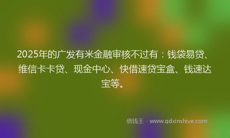2025年的广发有米金融审核不过有：钱袋易贷、维信卡卡贷、现金中心、快借速贷宝盒、钱速达宝等。