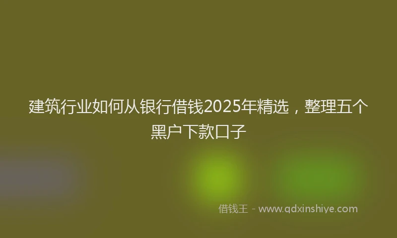 建筑行业如何从银行借钱2025年精选，整理五个黑户下款口子