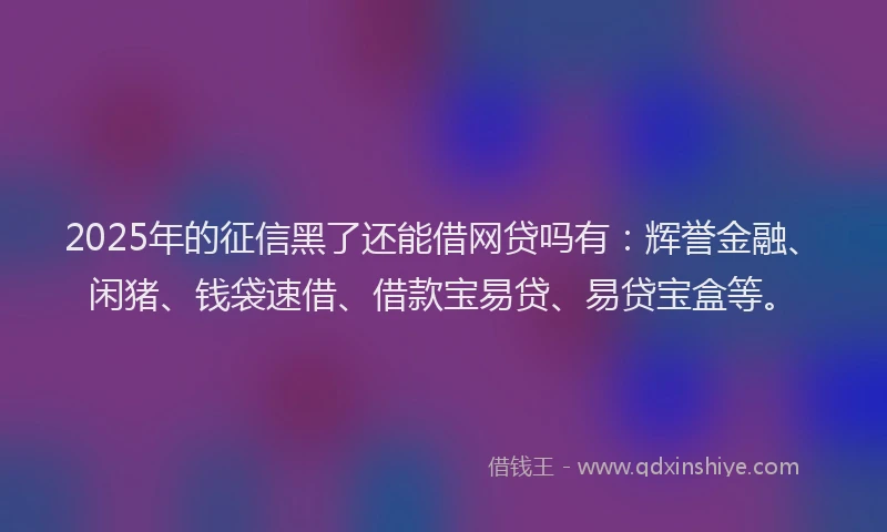 2025年的征信黑了还能借网贷吗有：辉誉金融、闲猪、钱袋速借、借款宝易贷、易贷宝盒等。