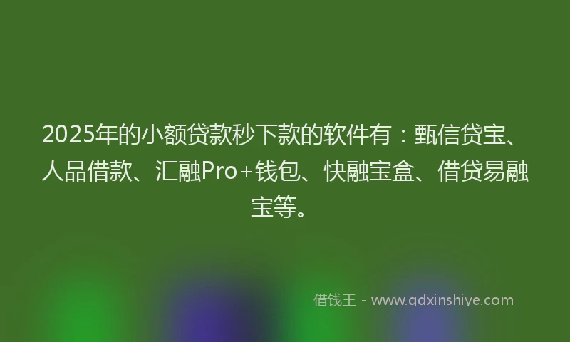 2025年的小额贷款秒下款的软件有：甄信贷宝、人品借款、汇融Pro+钱包、快融宝盒、借贷易融宝等。