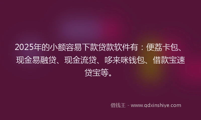 2025年的小额容易下款贷款软件有：便荔卡包、现金易融贷、现金流贷、哆来咪钱包、借款宝速贷宝等。