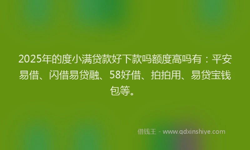 2025年的度小满贷款好下款吗额度高吗有：平安易借、闪借易贷融、58好借、拍拍用、易贷宝钱包等。