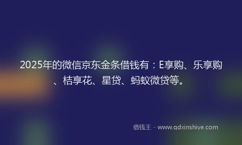 2025年的微信京东金条借钱有：E享购、乐享购、桔享花、星贷、蚂蚁微贷等。