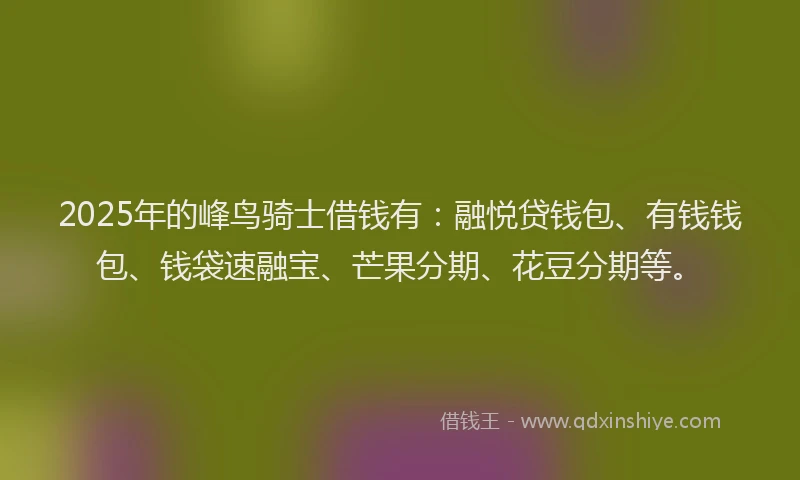 2025年的峰鸟骑士借钱有：融悦贷钱包、有钱钱包、钱袋速融宝、芒果分期、花豆分期等。