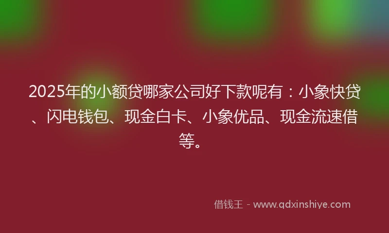 2025年的小额贷哪家公司好下款呢有：小象快贷、闪电钱包、现金白卡、小象优品、现金流速借等。