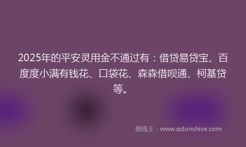 2025年的平安灵用金不通过有：借贷易贷宝、百度度小满有钱花、口袋花、森森借呗通、柯基贷等。