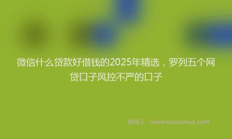 微信什么贷款好借钱的2025年精选，罗列五个网贷口子风控不严的口子