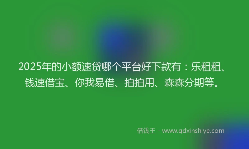 2025年的小额速贷哪个平台好下款有：乐租租、钱速借宝、你我易借、拍拍用、森森分期等。