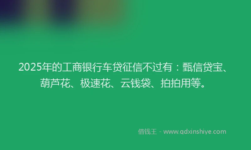 2025年的工商银行车贷征信不过有：甄信贷宝、葫芦花、极速花、云钱袋、拍拍用等。