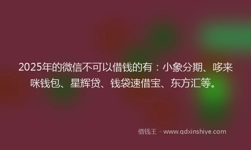 2025年的微信不可以借钱的有：小象分期、哆来咪钱包、星辉贷、钱袋速借宝、东方汇等。