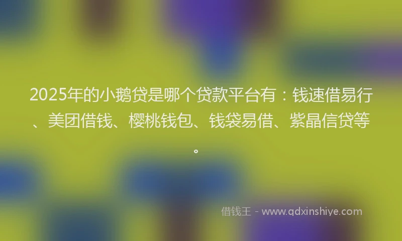 2025年的小鹅贷是哪个贷款平台有：钱速借易行、美团借钱、樱桃钱包、钱袋易借、紫晶信贷等。
