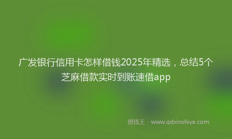 广发银行信用卡怎样借钱2025年精选，总结5个芝麻借款实时到账速借app