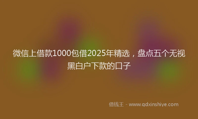 微信上借款1000包借2025年精选，盘点五个无视黑白户下款的口子