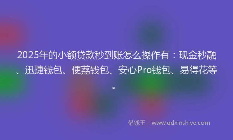 2025年的小额贷款秒到账怎么操作有：现金秒融、迅捷钱包、便荔钱包、安心Pro钱包、易得花等。