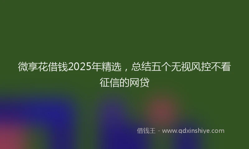 微享花借钱2025年精选，总结五个无视风控不看征信的网贷