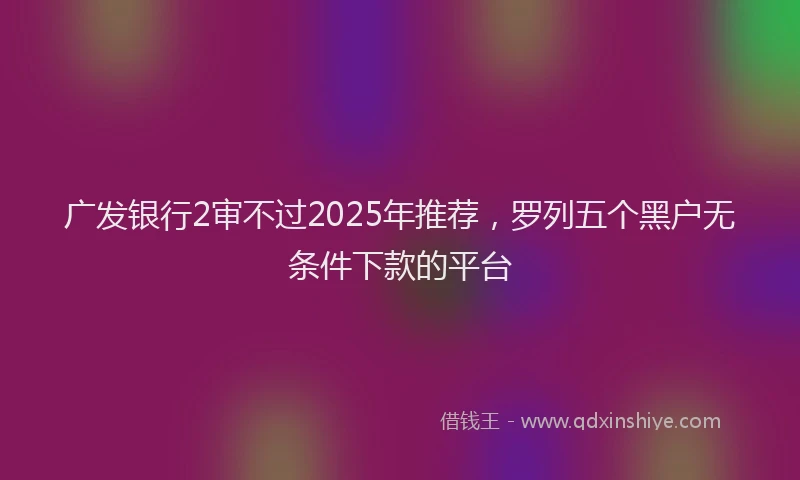 广发银行2审不过2025年推荐，罗列五个黑户无条件下款的平台