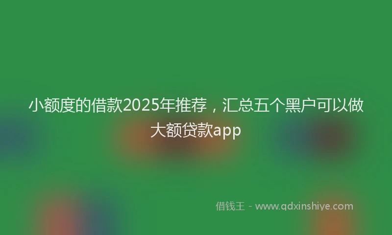小额度的借款2025年推荐，汇总五个黑户可以做大额贷款app