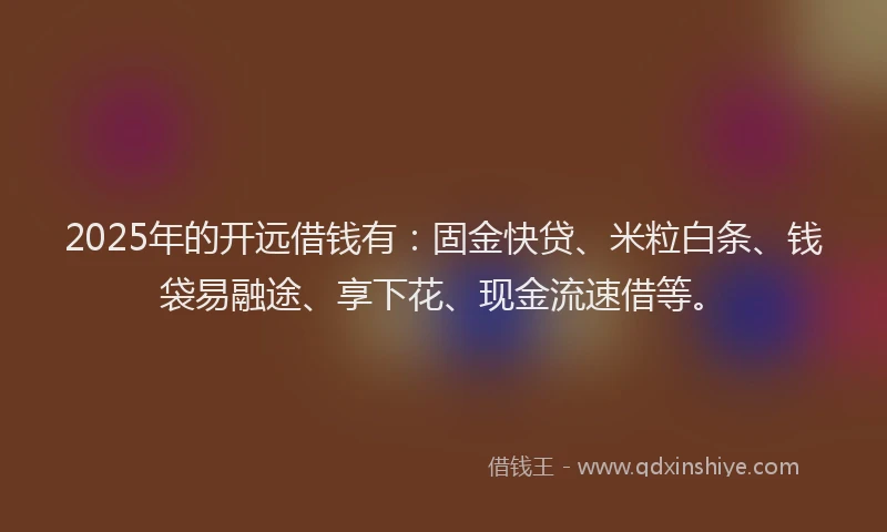 2025年的开远借钱有：固金快贷、米粒白条、钱袋易融途、享下花、现金流速借等。