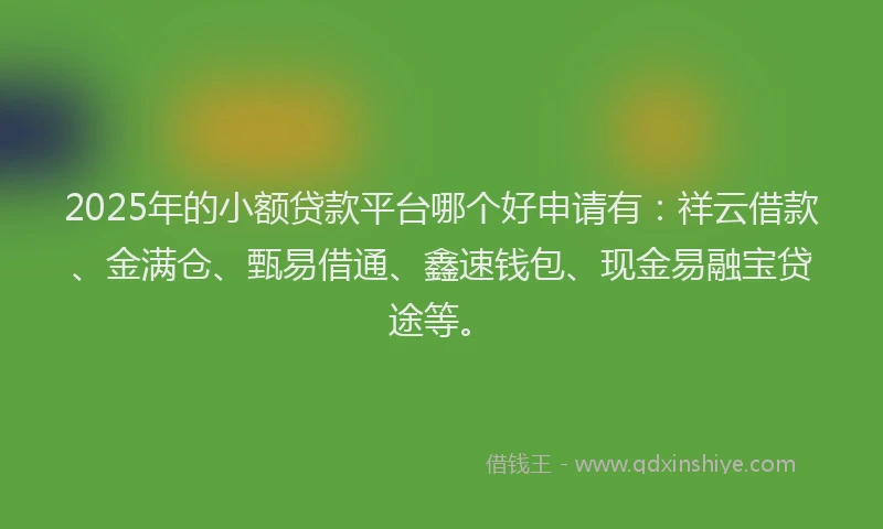 2025年的小额贷款平台哪个好申请有：祥云借款、金满仓、甄易借通、鑫速钱包、现金易融宝贷途等。