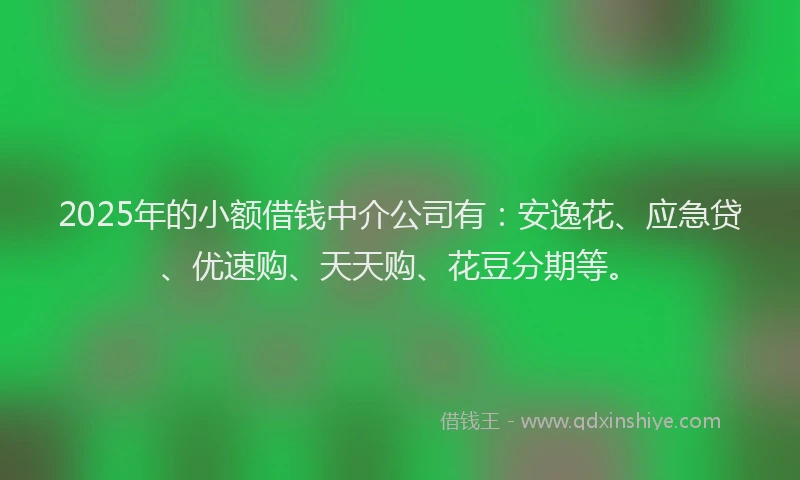2025年的小额借钱中介公司有：安逸花、应急贷、优速购、天天购、花豆分期等。