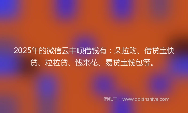 2025年的微信云丰呗借钱有：朵拉购、借贷宝快贷、粒粒贷、钱来花、易贷宝钱包等。