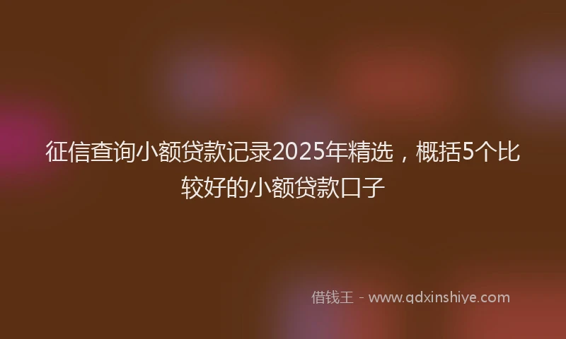 征信查询小额贷款记录2025年精选，概括5个比较好的小额贷款口子