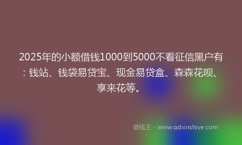 2025年的小额借钱1000到5000不看征信黑户有：钱站、钱袋易贷宝、现金易贷盒、森森花呗、享来花等。