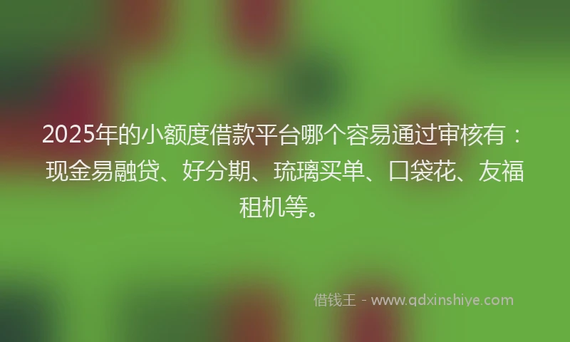 2025年的小额度借款平台哪个容易通过审核有：现金易融贷、好分期、琉璃买单、口袋花、友福租机等。