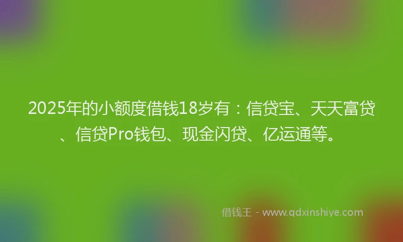 2025年的小额度借钱18岁有：信贷宝、天天富贷、信贷Pro钱包、现金闪贷、亿运通等。