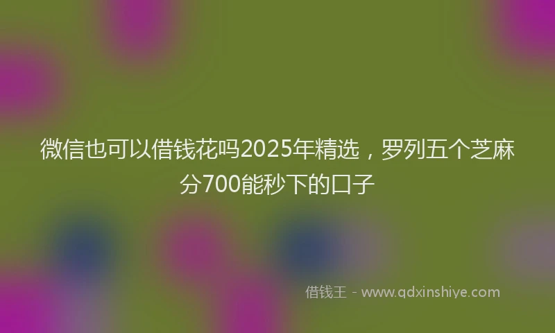 微信也可以借钱花吗2025年精选，罗列五个芝麻分700能秒下的口子
