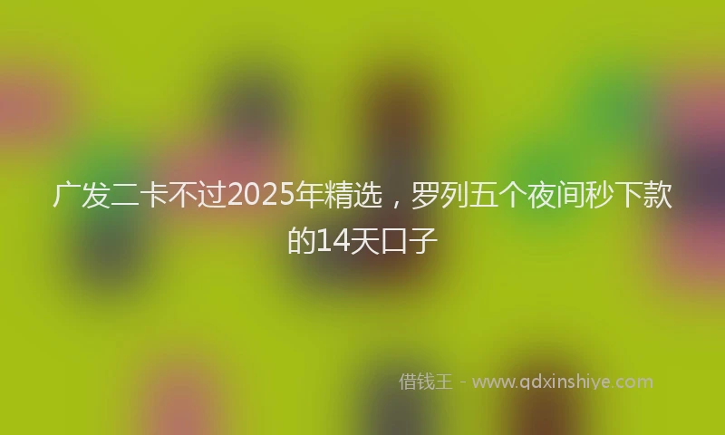 广发二卡不过2025年精选，罗列五个夜间秒下款的14天口子