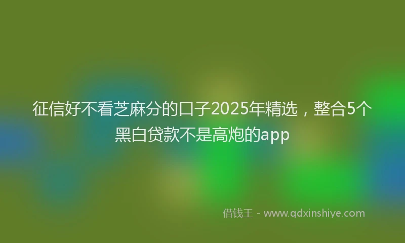 征信好不看芝麻分的口子2025年精选，整合5个黑白贷款不是高炮的app