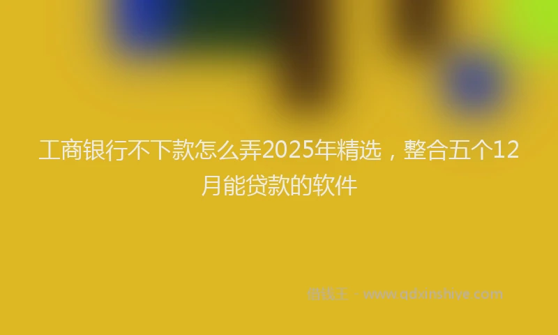 工商银行不下款怎么弄2025年精选，整合五个12月能贷款的软件