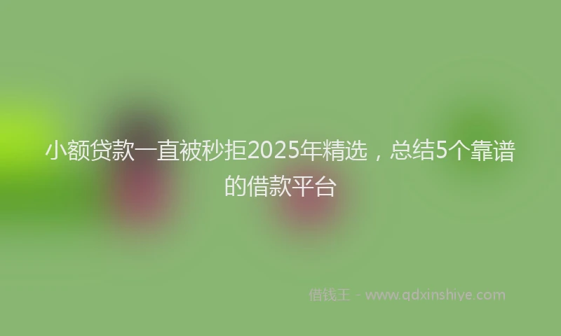 小额贷款一直被秒拒2025年精选，总结5个靠谱的借款平台