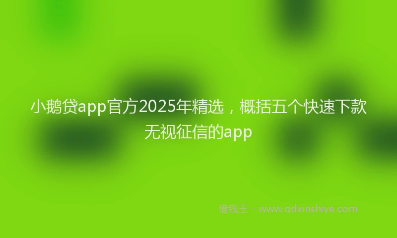 小鹅贷app官方2025年精选，概括五个快速下款无视征信的app