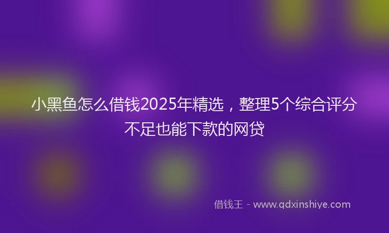 小黑鱼怎么借钱2025年精选，整理5个综合评分不足也能下款的网贷