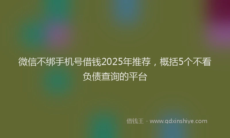 微信不绑手机号借钱2025年推荐，概括5个不看负债查询的平台