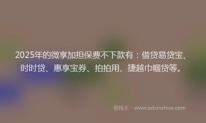 2025年的微享加担保费不下款有：借贷易贷宝、时时贷、惠享宝券、拍拍用、捷越巾帼贷等。